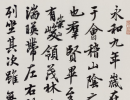 盧中南楷書《中國成語300句》（49）_盧中南書法作品欣賞
