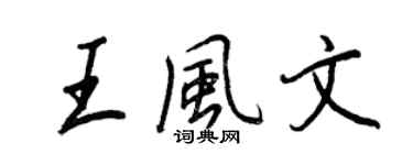王正良王風文行書個性簽名怎么寫