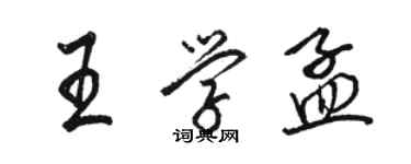 駱恆光王學孟行書個性簽名怎么寫