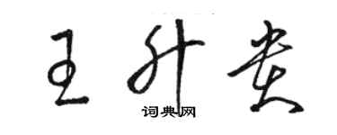 駱恆光王升貴草書個性簽名怎么寫