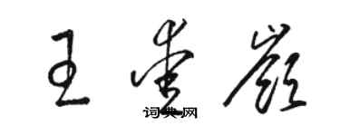 駱恆光王愛嶺草書個性簽名怎么寫