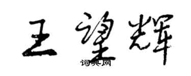曾慶福王望輝行書個性簽名怎么寫