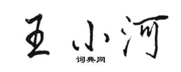 駱恆光王小河行書個性簽名怎么寫