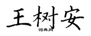 丁謙王樹安楷書個性簽名怎么寫