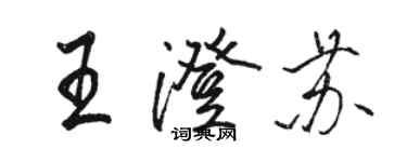 駱恆光王澄蘇行書個性簽名怎么寫