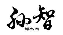 胡問遂孫智行書個性簽名怎么寫