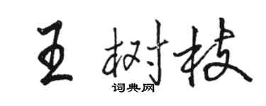 駱恆光王樹枝行書個性簽名怎么寫