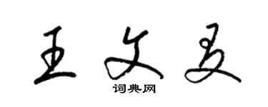 梁錦英王文友草書個性簽名怎么寫