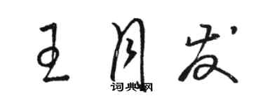 駱恆光王月發草書個性簽名怎么寫