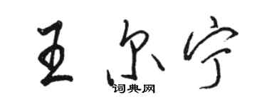 駱恆光王爾寧行書個性簽名怎么寫