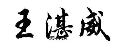 胡問遂王湛威行書個性簽名怎么寫