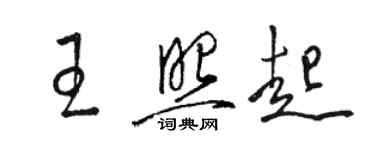 駱恆光王照起草書個性簽名怎么寫