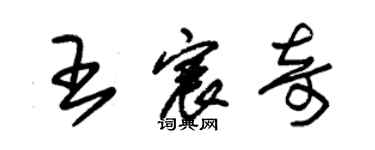 朱錫榮王宸奇草書個性簽名怎么寫