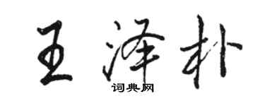 駱恆光王澤朴行書個性簽名怎么寫