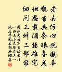 細看還遍插，人忘老 詩詞名句