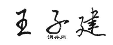 駱恆光王子建行書個性簽名怎么寫