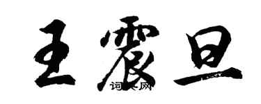 胡問遂王震旦行書個性簽名怎么寫