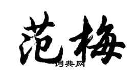 胡問遂范梅行書個性簽名怎么寫