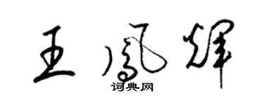 梁錦英王鳳輝草書個性簽名怎么寫