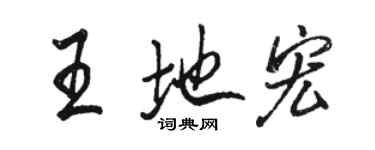 駱恆光王地宏行書個性簽名怎么寫