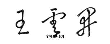 駱恆光王雲開草書個性簽名怎么寫