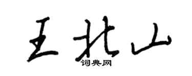 王正良王北山行書個性簽名怎么寫
