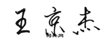 駱恆光王京傑行書個性簽名怎么寫