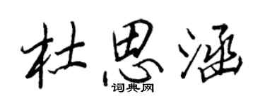 王正良杜思涵行書個性簽名怎么寫