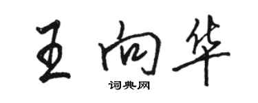 駱恆光王向華行書個性簽名怎么寫