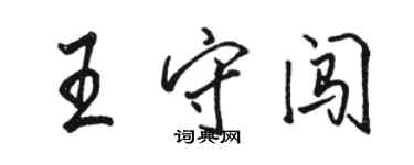 駱恆光王守闖行書個性簽名怎么寫