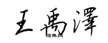 王正良王禹澤行書個性簽名怎么寫