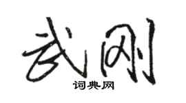 駱恆光武剛行書個性簽名怎么寫
