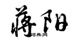 胡問遂蔣陽行書個性簽名怎么寫