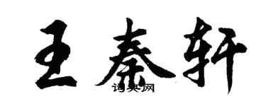 胡問遂王秦軒行書個性簽名怎么寫
