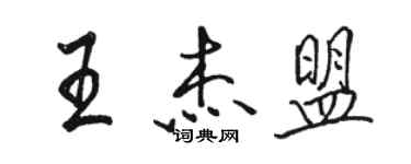 駱恆光王傑盟行書個性簽名怎么寫