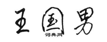 駱恆光王國男行書個性簽名怎么寫