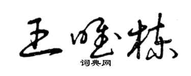 曾慶福王唯棟草書個性簽名怎么寫