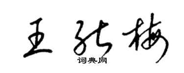 梁錦英王能梅草書個性簽名怎么寫