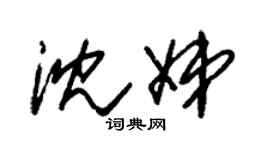 朱錫榮沈娣草書個性簽名怎么寫