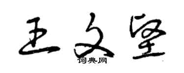 曾慶福王文堅草書個性簽名怎么寫