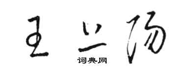 駱恆光王上陽草書個性簽名怎么寫