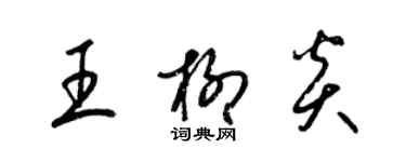 梁錦英王柳炎草書個性簽名怎么寫