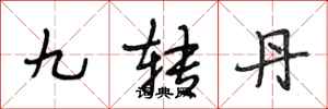 段相林九轉丹行書怎么寫