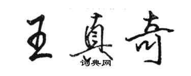 駱恆光王真奇行書個性簽名怎么寫