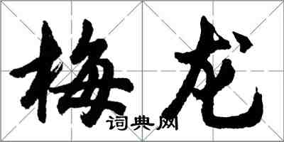 胡問遂梅龍行書怎么寫