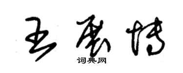 朱錫榮王展博草書個性簽名怎么寫