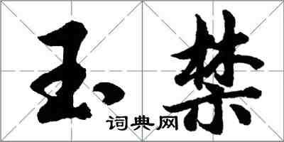 胡問遂玉禁行書怎么寫