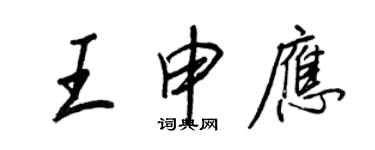 王正良王申應行書個性簽名怎么寫