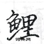 駱恆光寫的硬筆楷書鯉