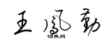 梁錦英王鳳勤草書個性簽名怎么寫